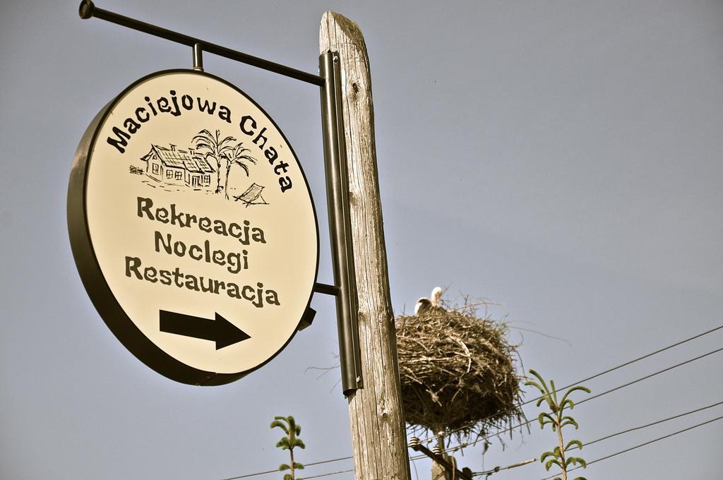 Country house Maciejowa *